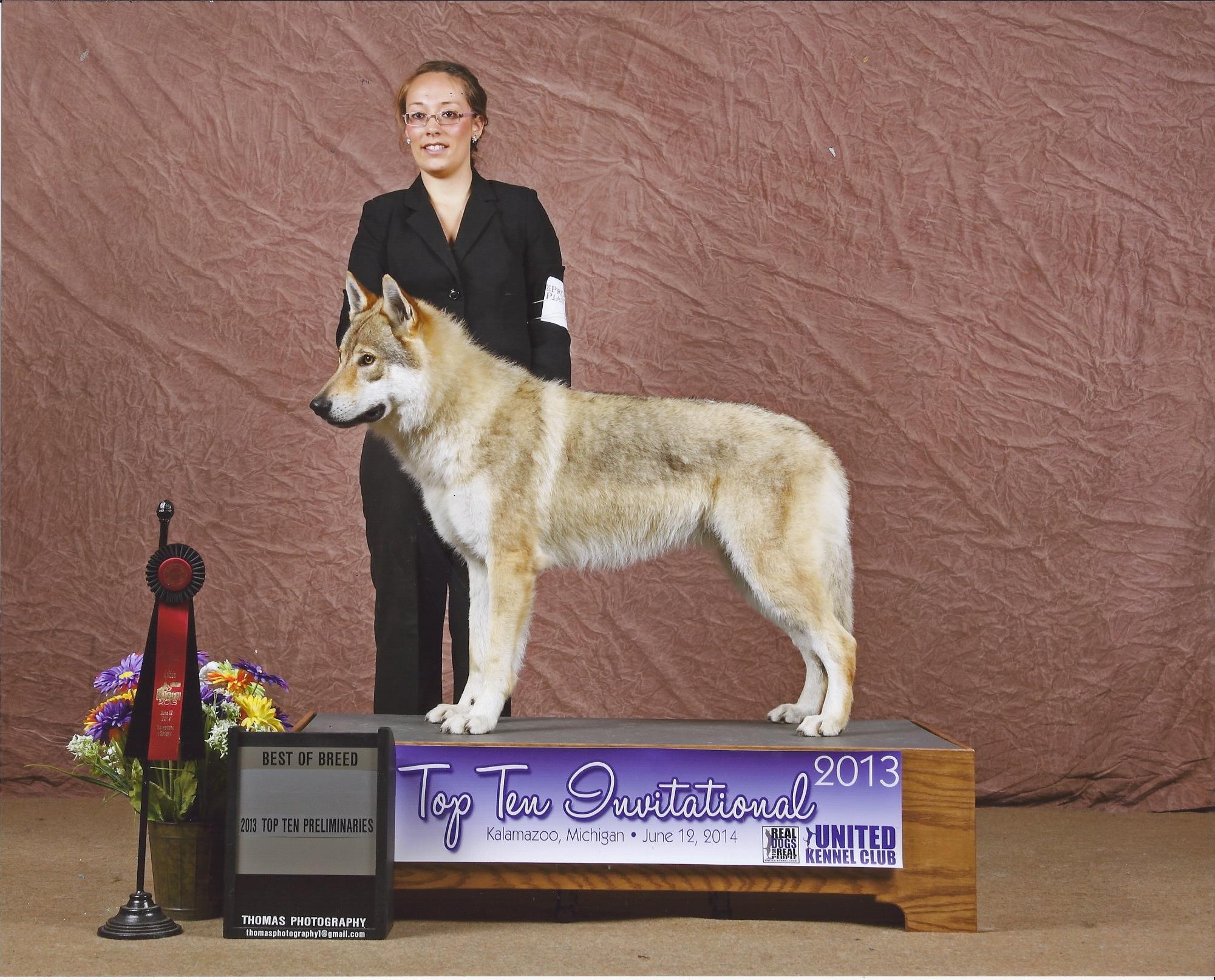 Buddha - nejlepší vlčák UKC 2013!!!